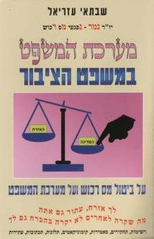 מערכת המשפט במשפט הציבור