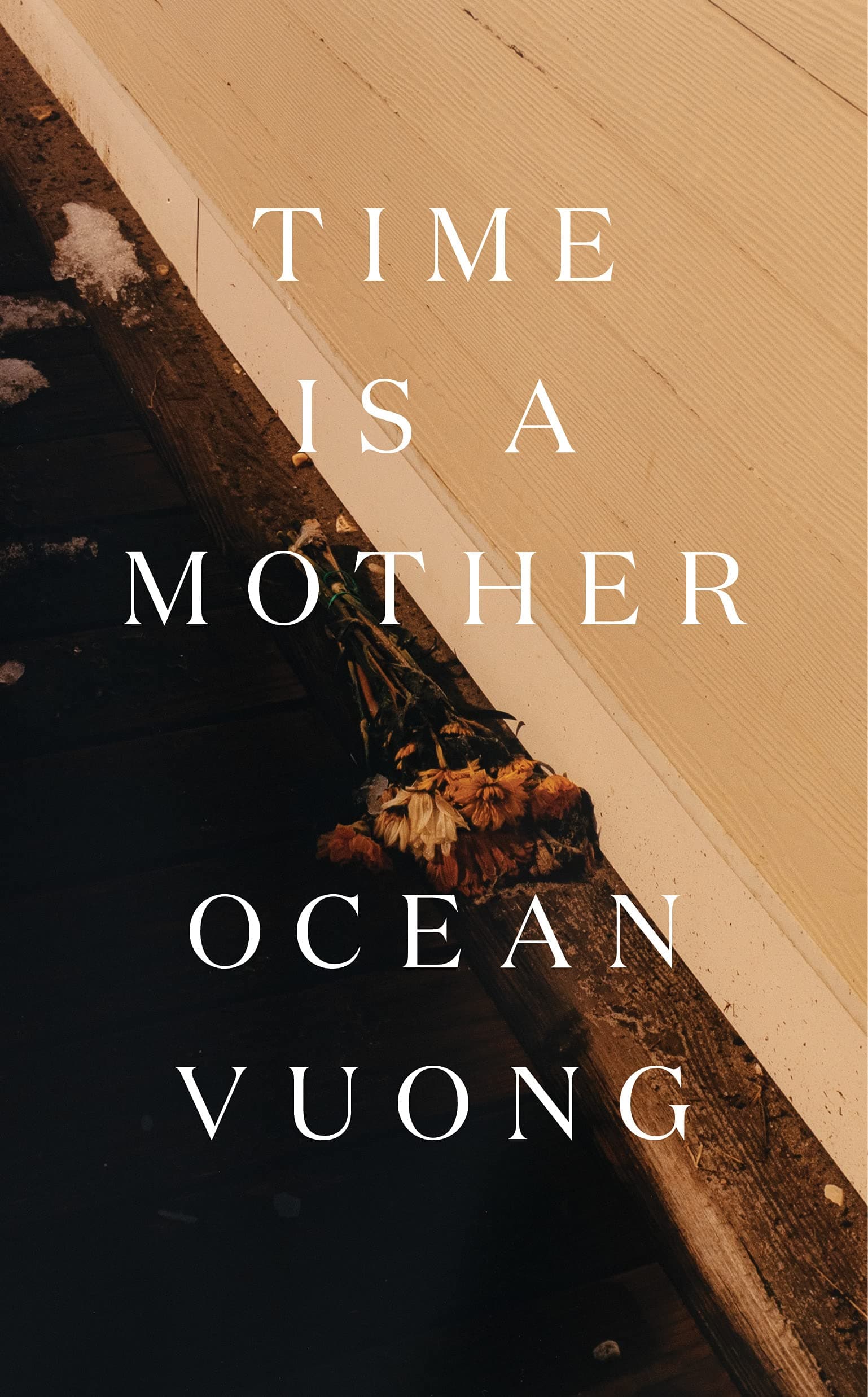 Time is a Mother HC