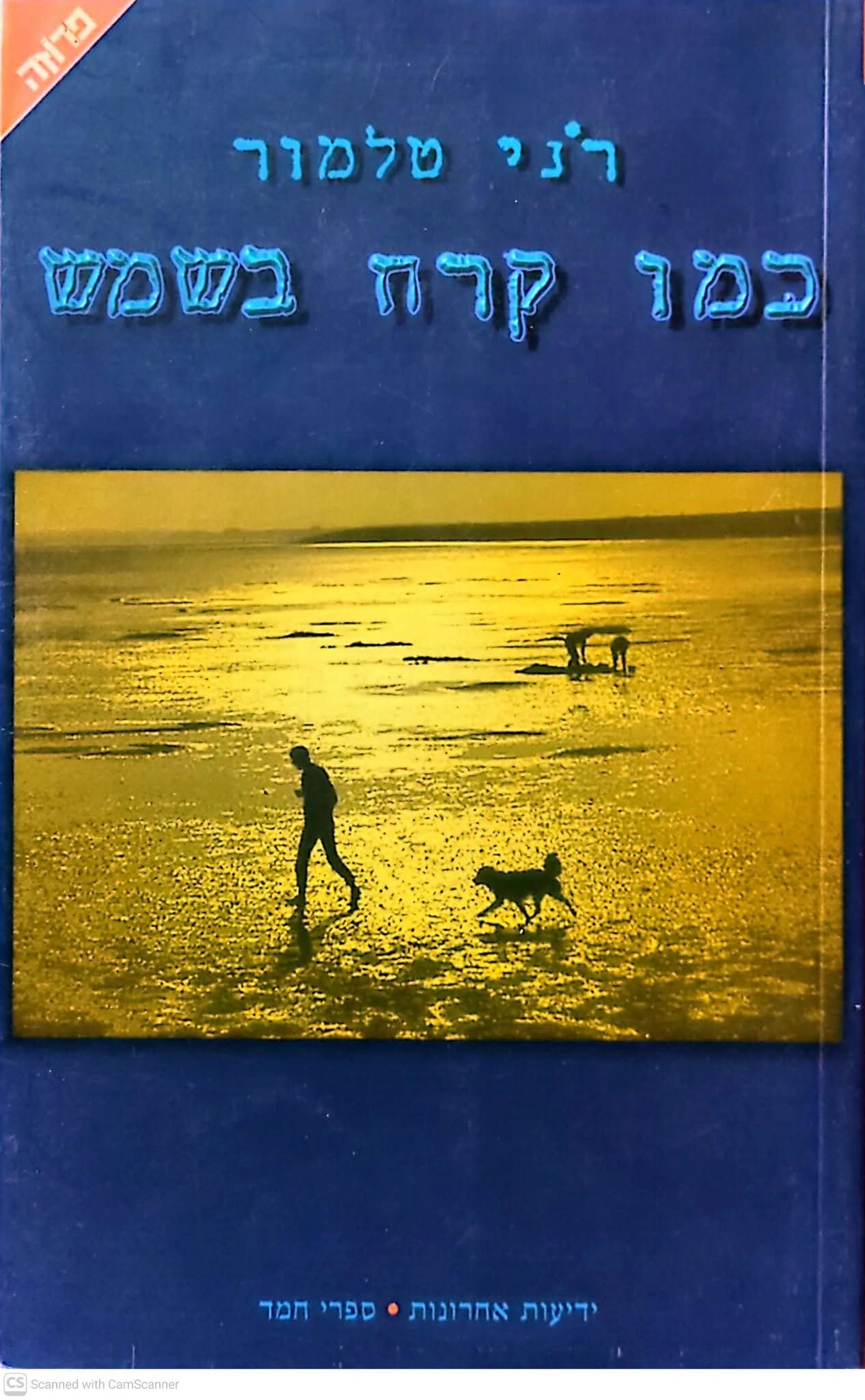 כמו קרח בשמש