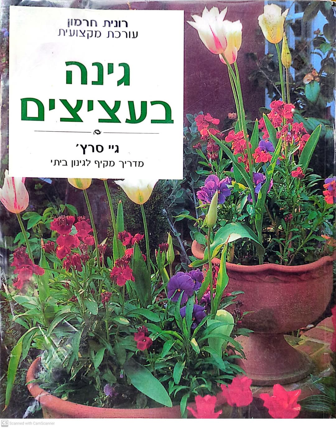 גינה בעציצים