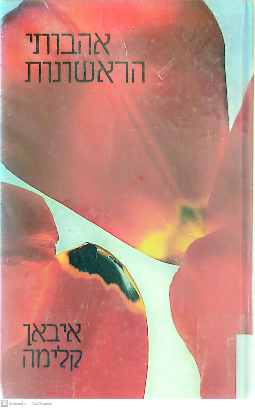 אהבותי הראשונות