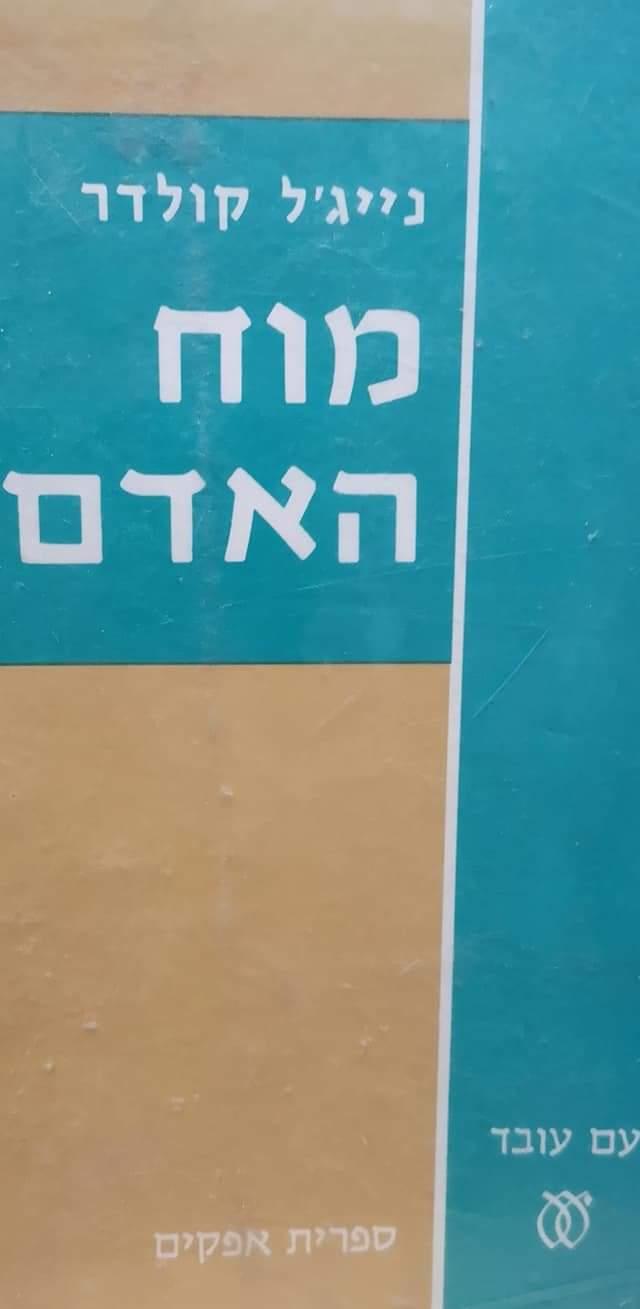 מוח האדם