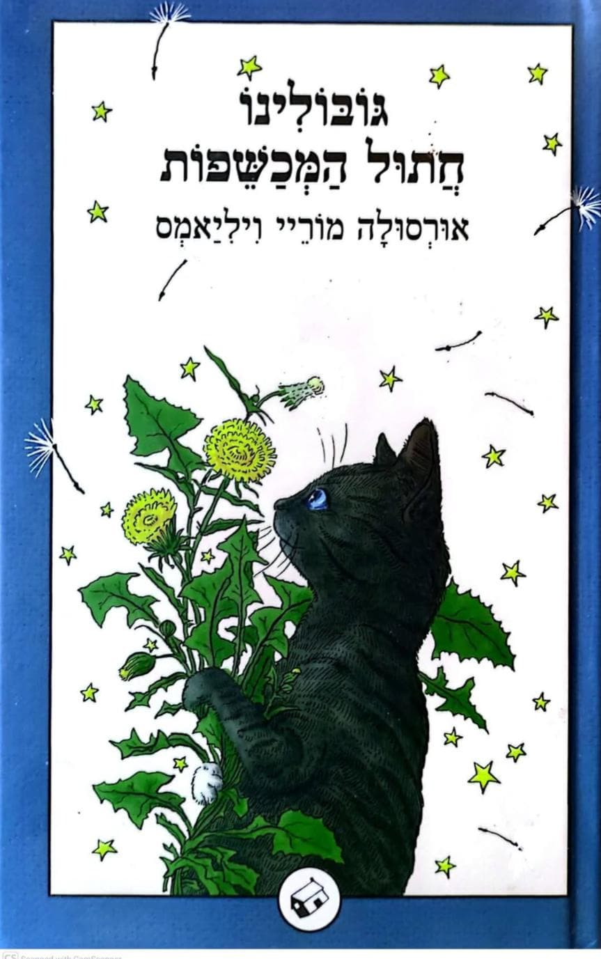 גובולינו חתול המכשפות