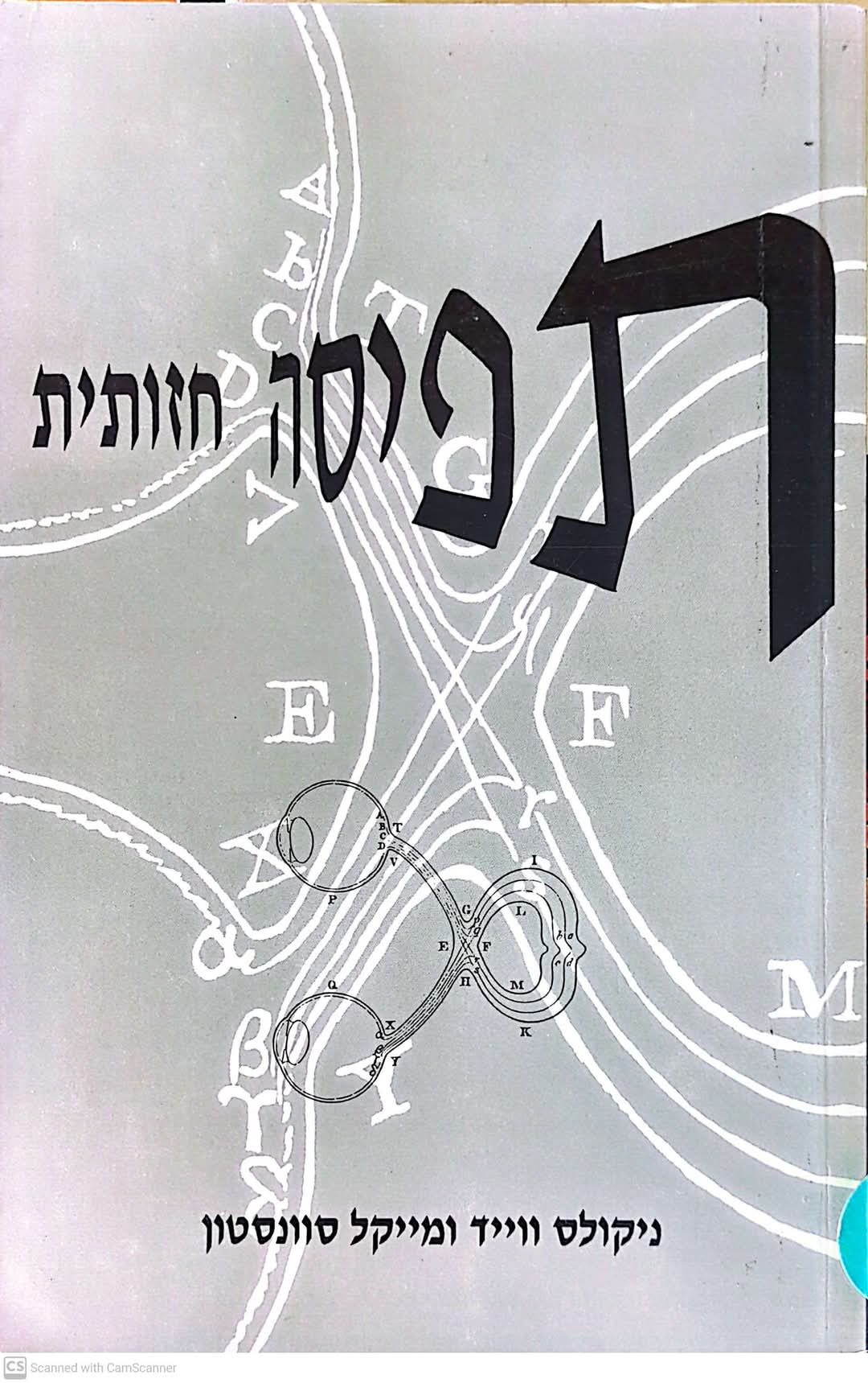 תפיסה חזותית