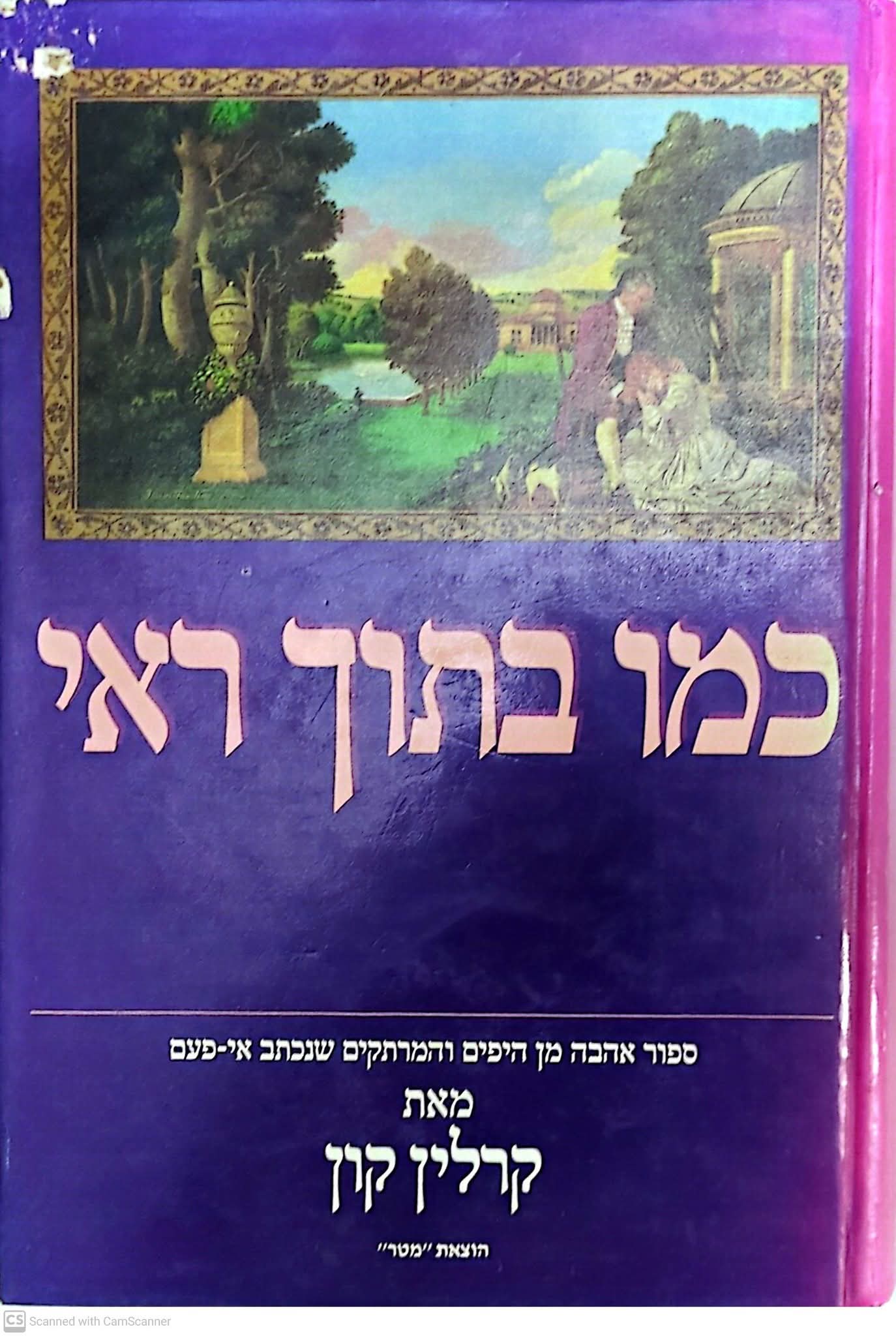 כמו בתוך ראי