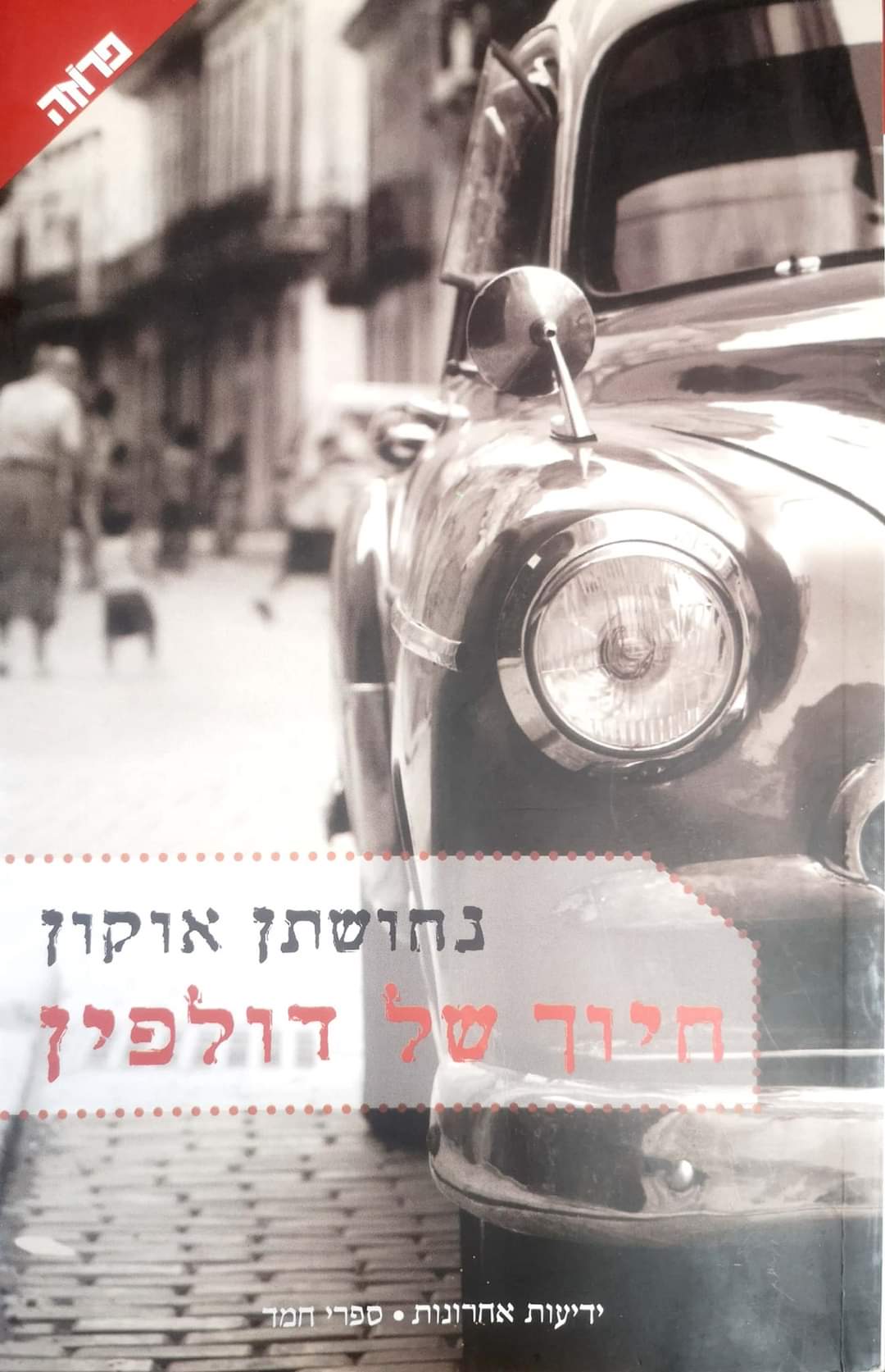 חיוך של דולפין