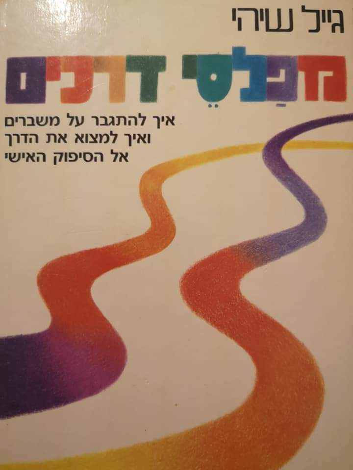 מפלסי דרכים