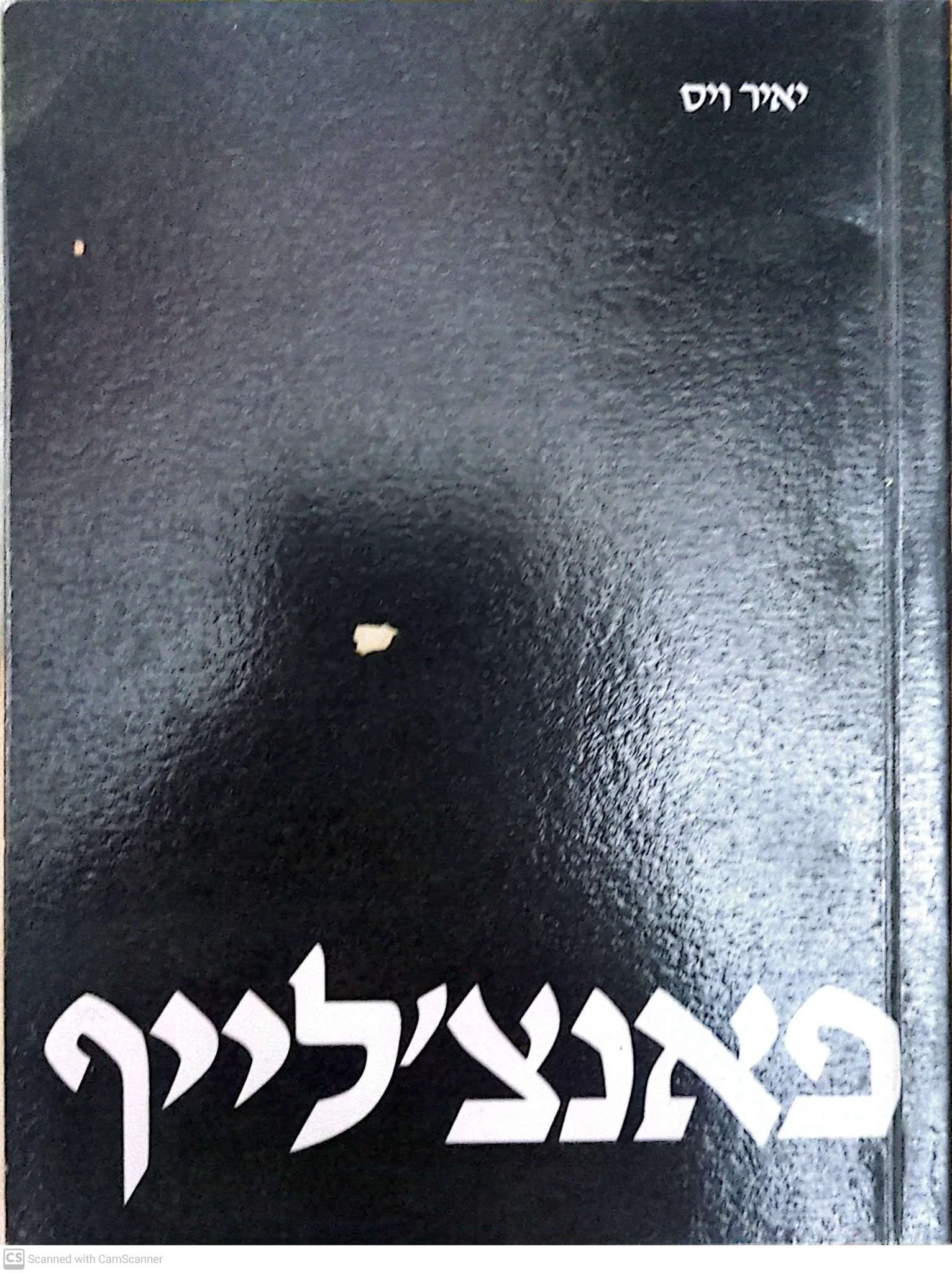 פאנצ'לייף