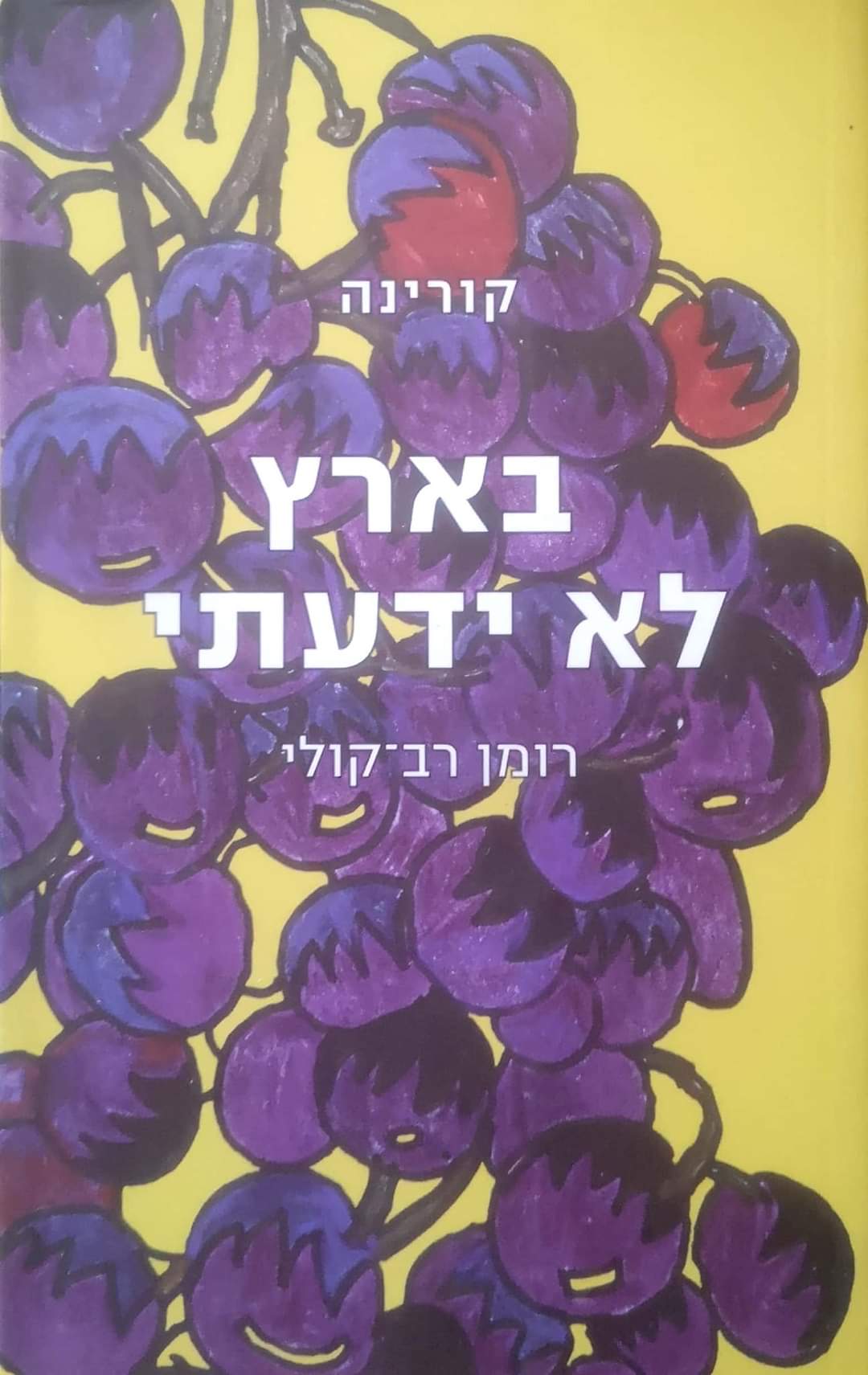 בארץ לא ידעתי