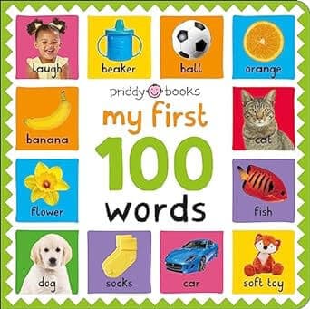 MY FIRST 100 WORDS