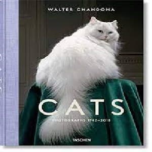 CATS PHOTOGRAPHS 1942-2018