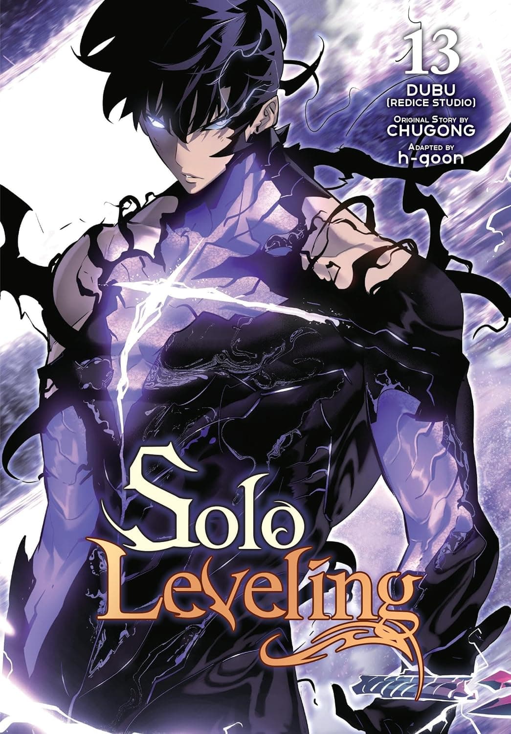 SOLO LEVELING - VOL 13