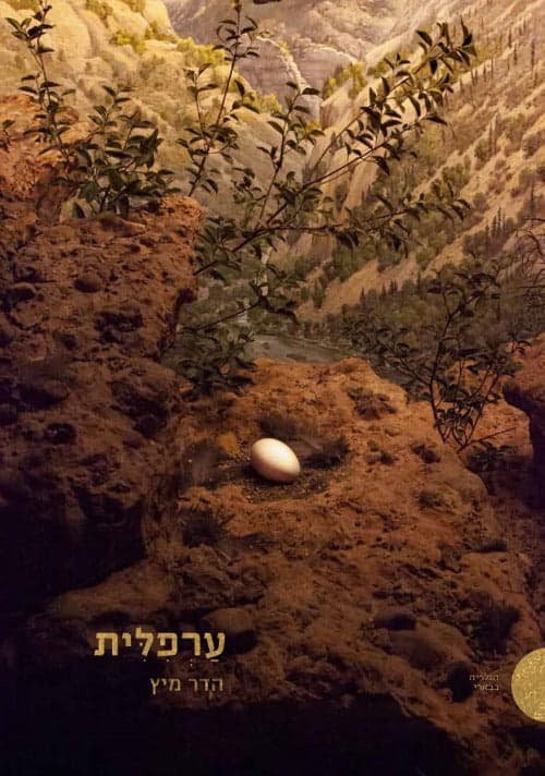 ערפילית | Nebula