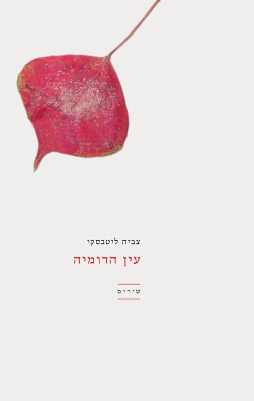 עין הדומיה