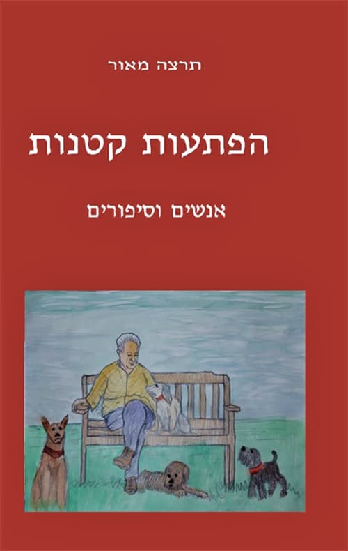הפתעות קטנות