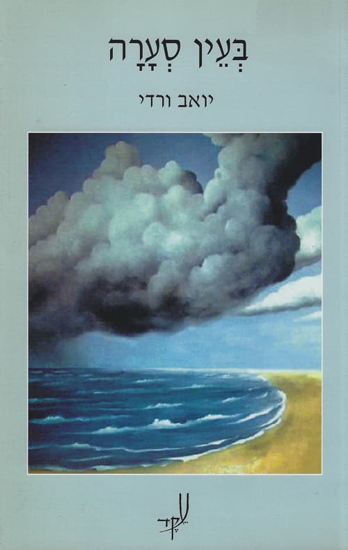 בעין הסערה
