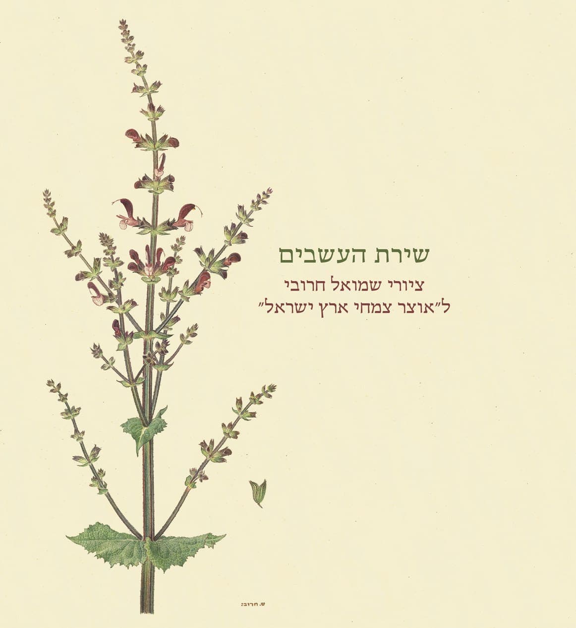 שירת העשבים | The Botanist's Brush
