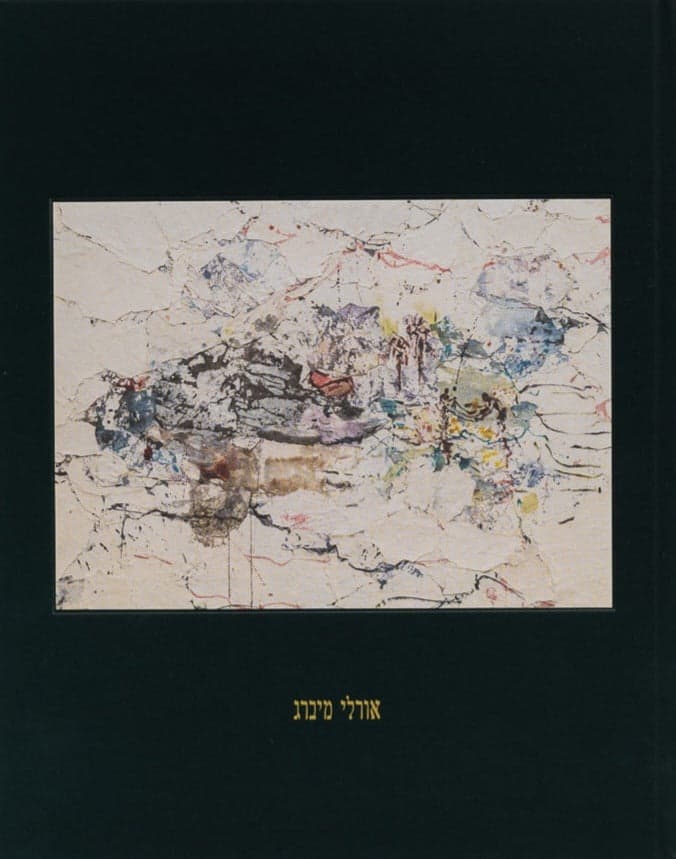 אורלי מיברג | ספר אמנית