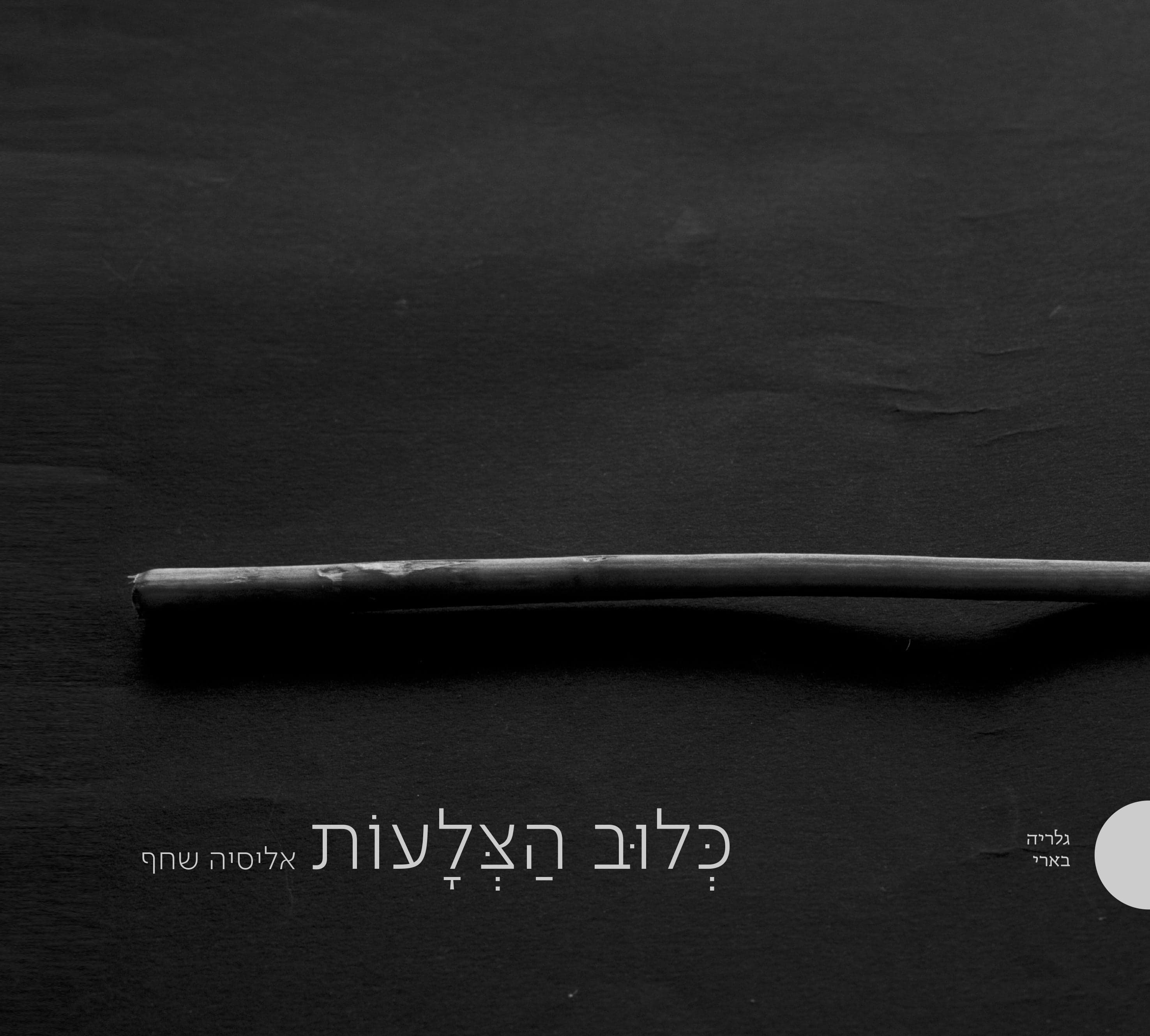 כלוב הצלעות