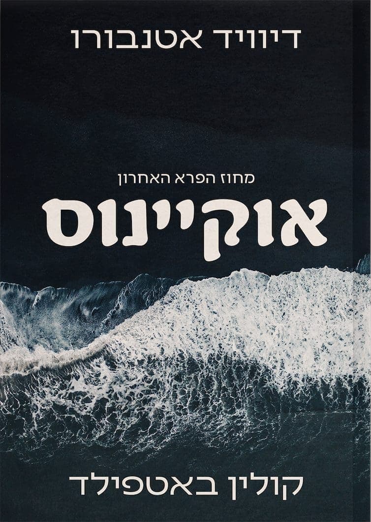 אוקיינוס