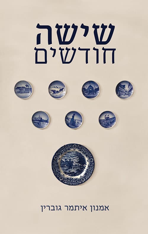 שישה חודשים