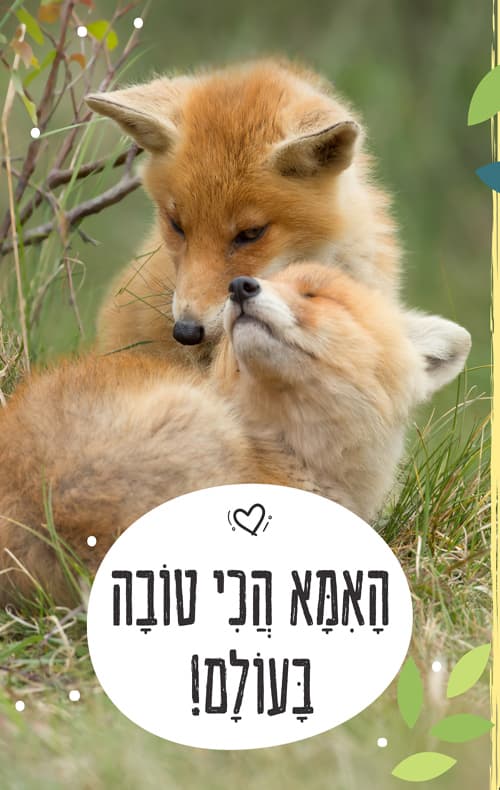 האמא הכי טובה בעולם