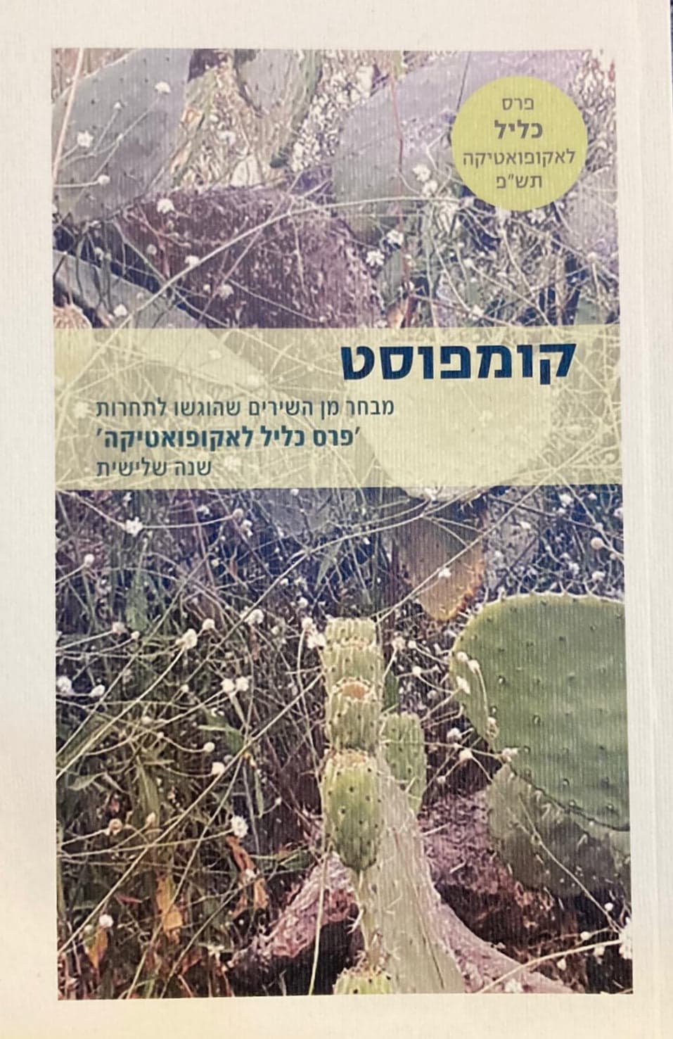 קומפוסט