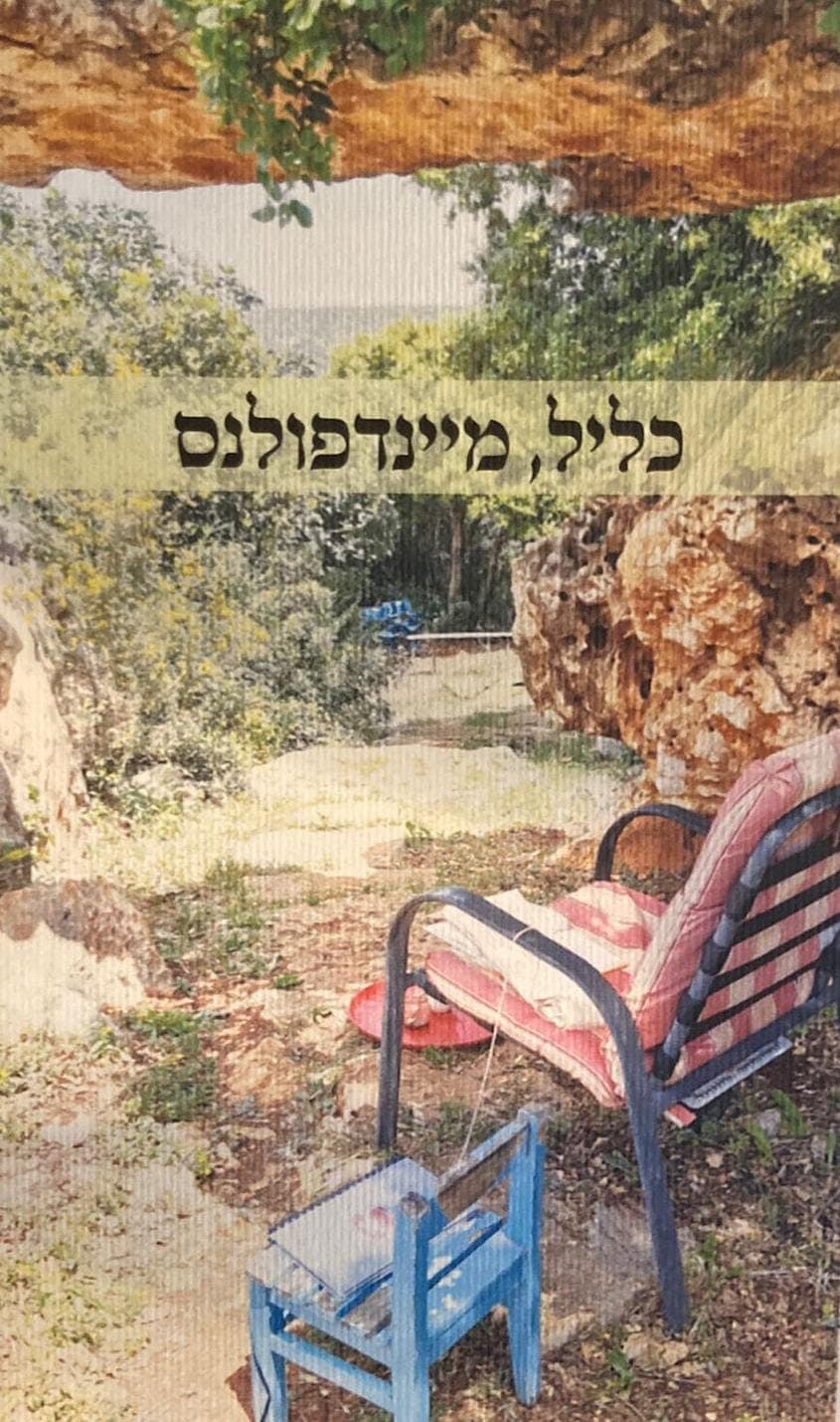 כליל, מיינדפולנס