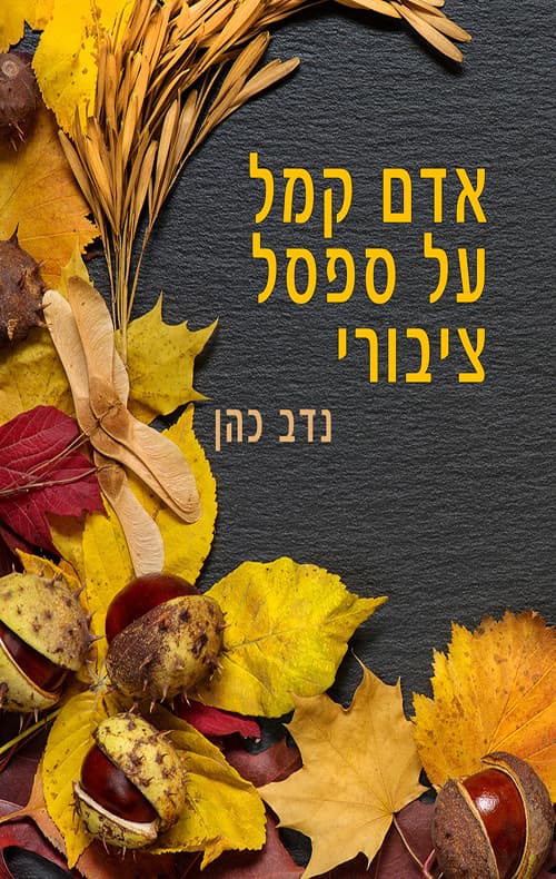 אדם קמל על ספסל ציבורי
