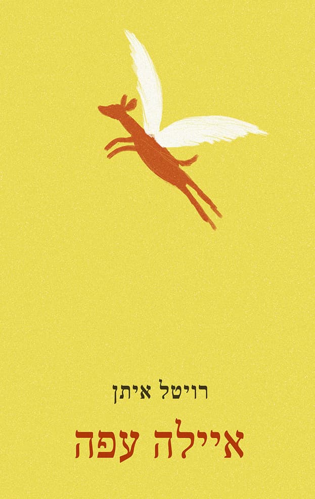 איילה עפה