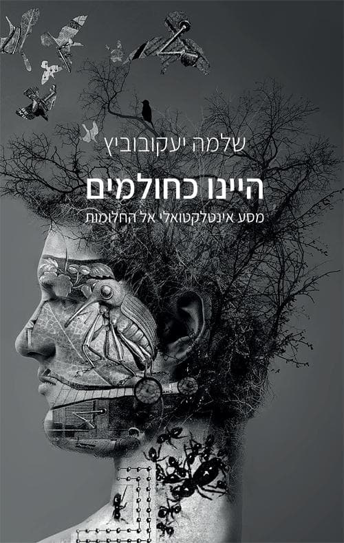 היינו כחולמים