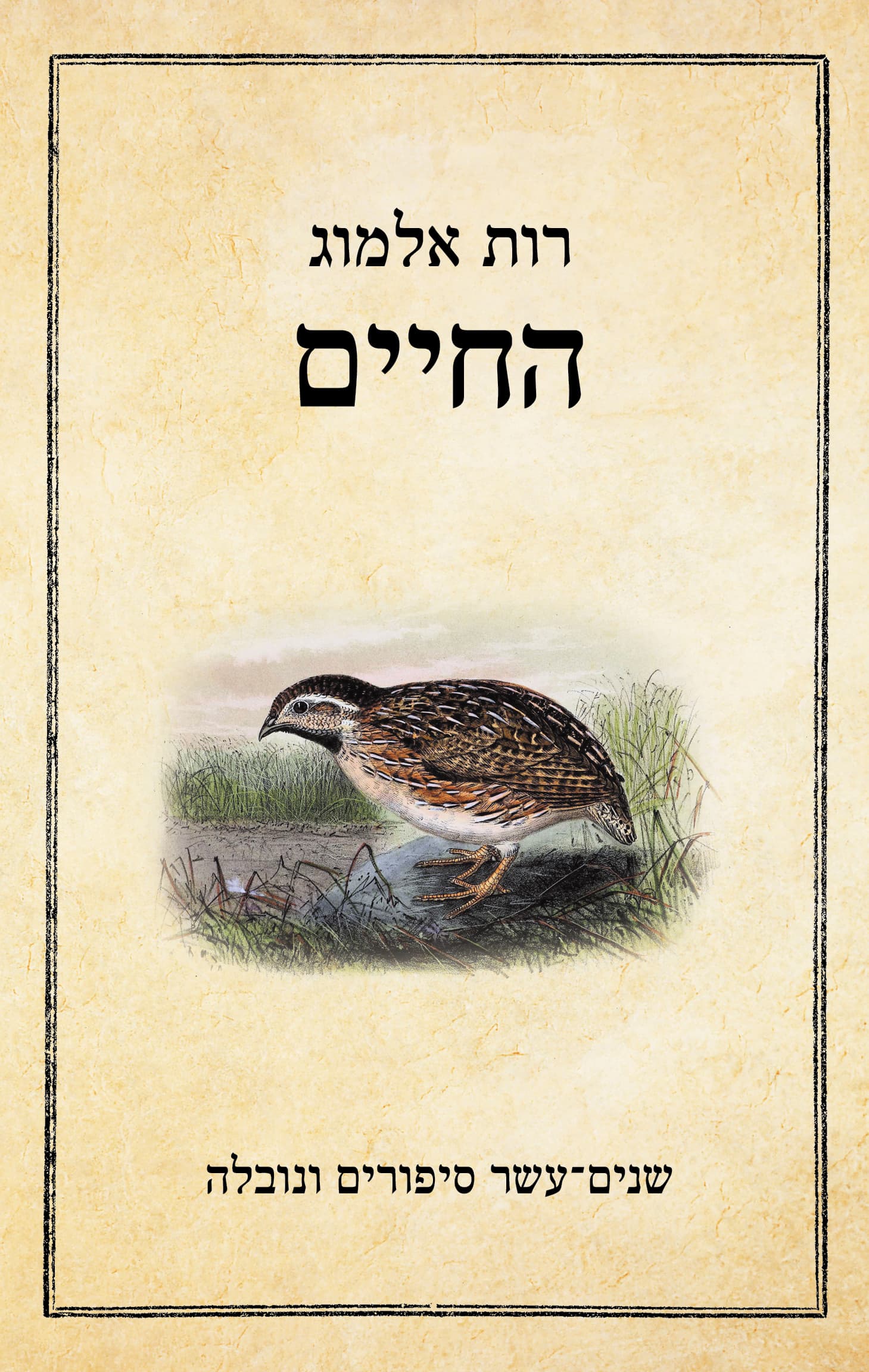 החיים