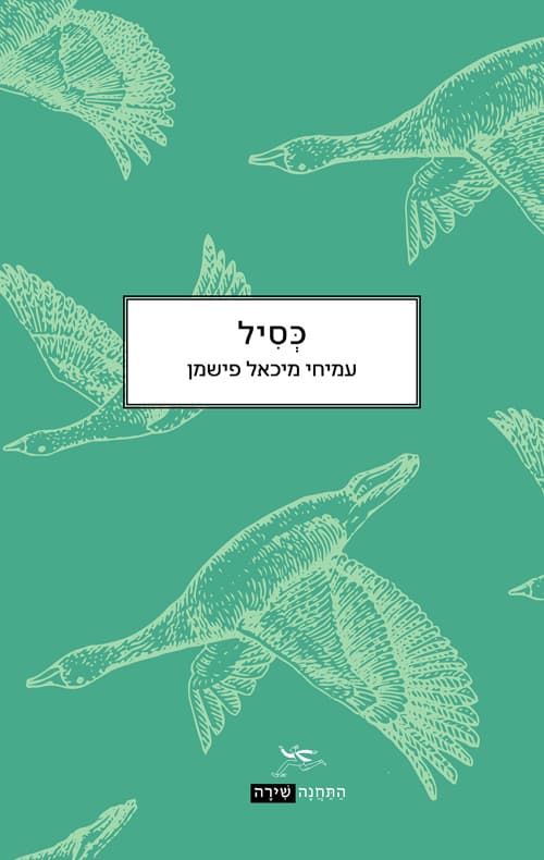 כסיל