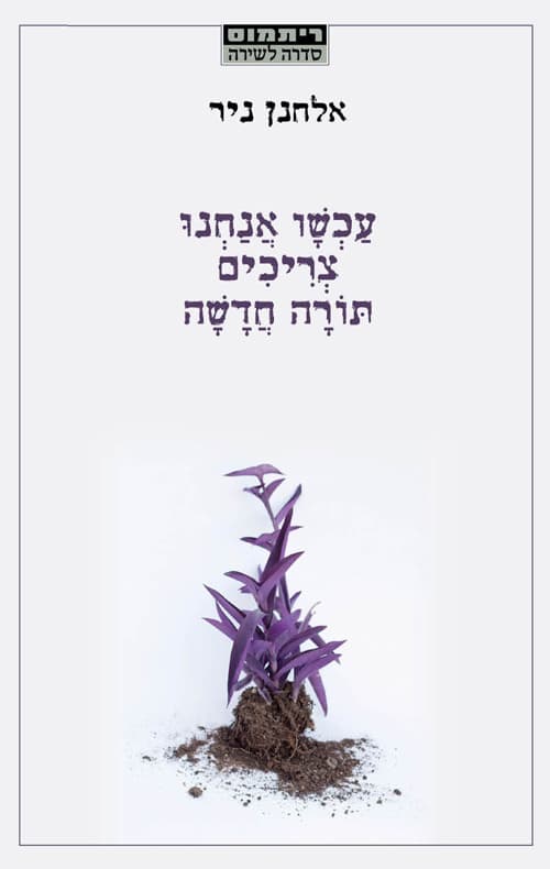 עכשיו אנחנו צריכים תורה חדשה