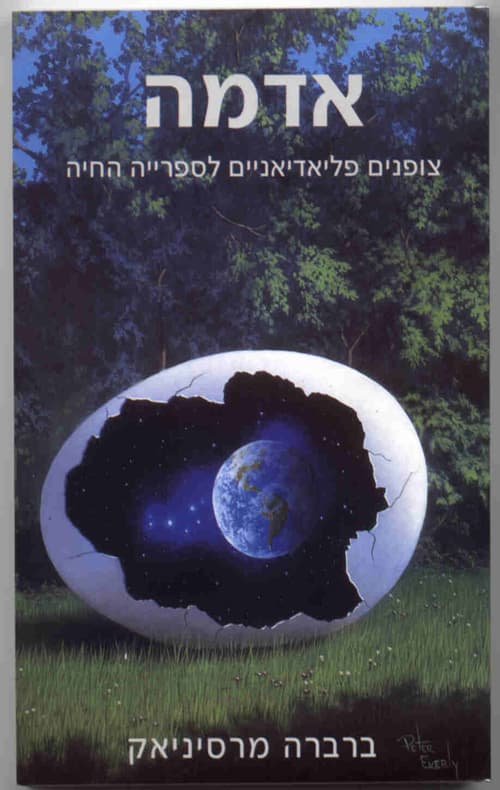 אדמה