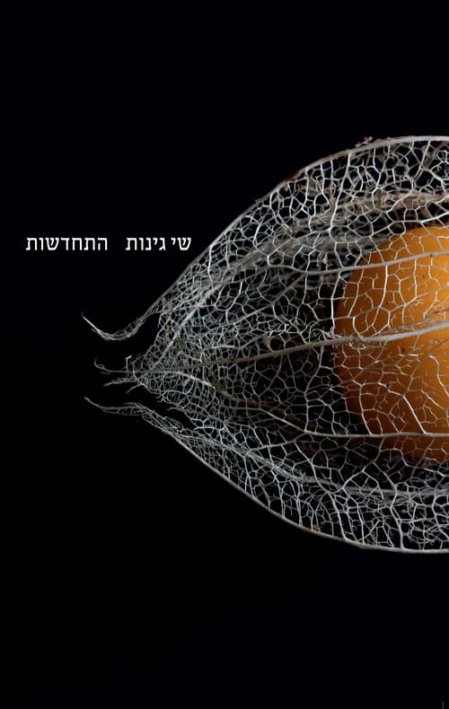 התחדשות
