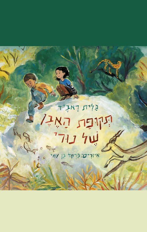 תקופת האבן של נורי