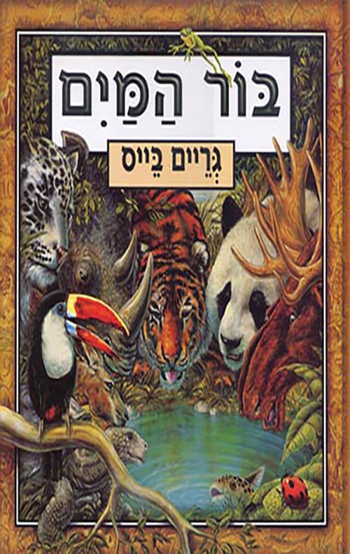 בור המים