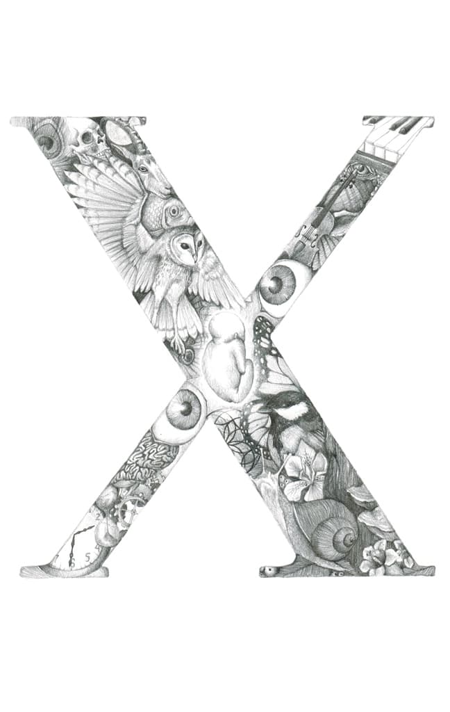 X