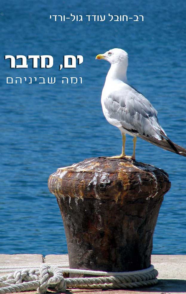 ים, מדבר