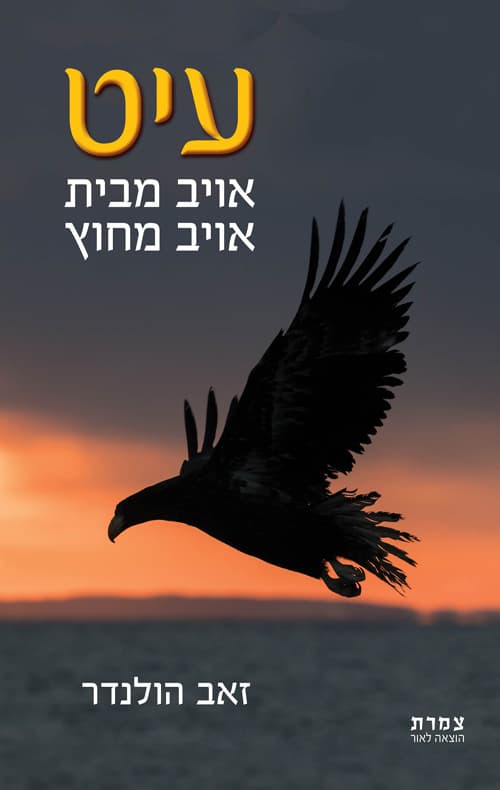 עיט